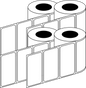 Thermal Transfer 51x24mm 2 Across Matt Labels 76mm Core, 5000/Roll, 8 Rolls/Carton, Permanent — Carton (8 rolls)
